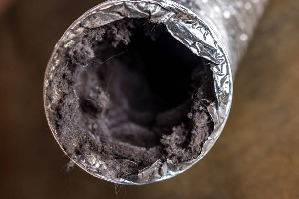 Best Affordable Air Duct Cleaning  in Pine Nyon, CA