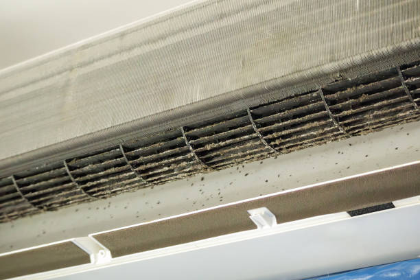 Best Ductwork Cleaning Services  in Pine Nyon, CA